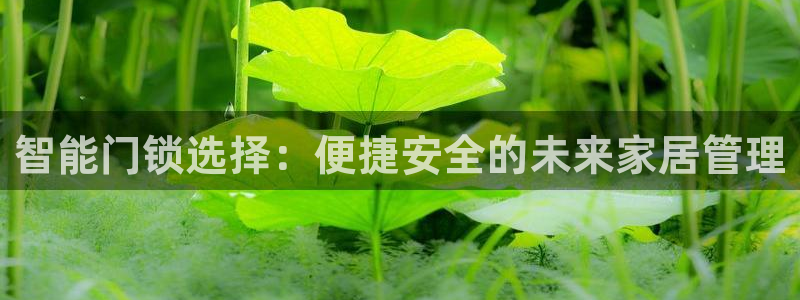 富联娱乐21192：智能门锁选择：便捷安全的未来家居管理