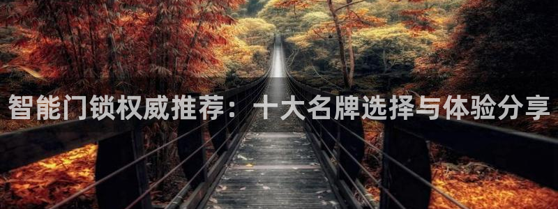 富联娱乐女团排名第几名：智能门锁权威推荐：十大名牌选择与体验