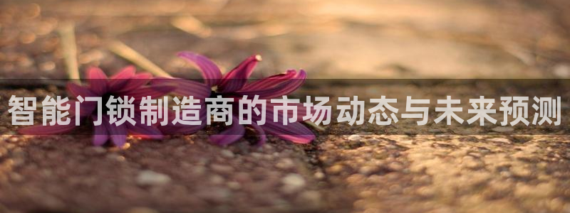 富联娱乐平台招商电话：智能门锁制造商的市场动态与未来预测