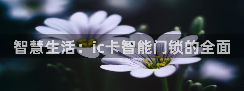 富联娱乐注册登录不上去：智慧生活：ic卡智能门锁的全面