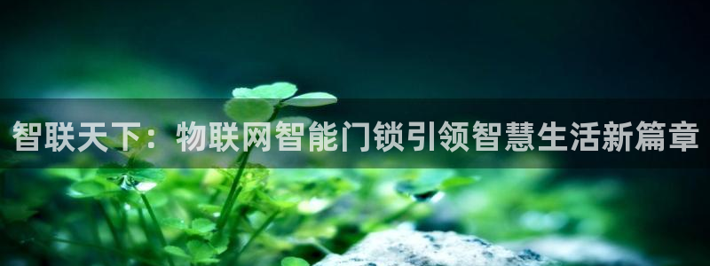 富联娱乐主管经判官333OO：智联天下：物联网智能门锁引领智