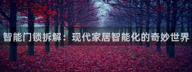 富联娱乐里拔7276O：智能门锁拆解：现代家居智能化的奇妙世