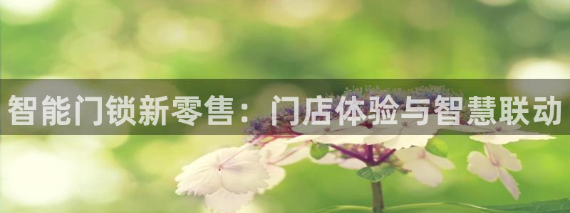 富联娱乐招熵：智能门锁新零售：门店体验与智慧联动