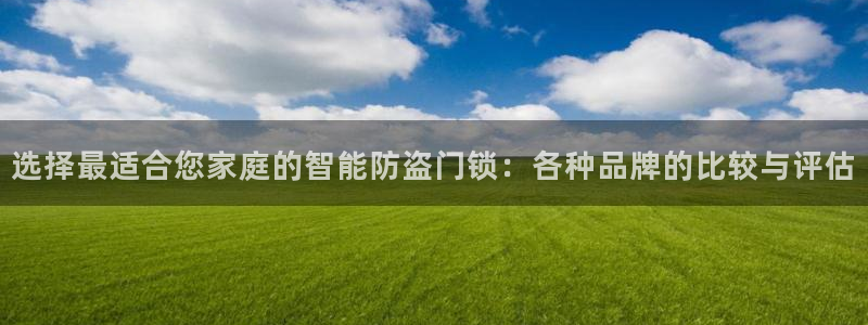 佰富联娱乐团购怎么样：选择最适合您家庭的智能防盗门锁：各种品