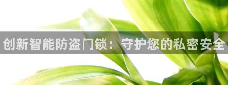 富联娱乐注册地判官333OO：创新智能防盗门锁：守护您的私密