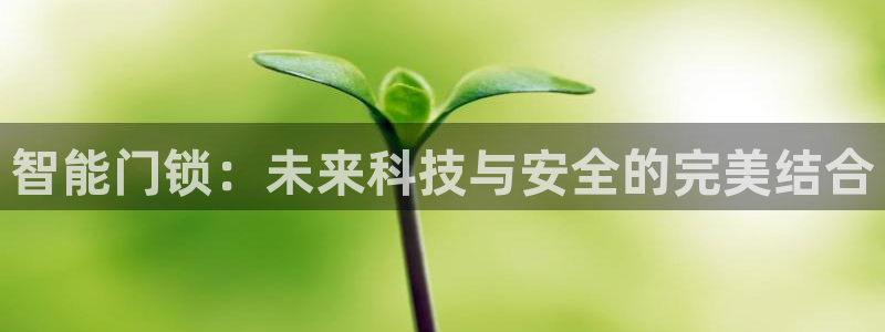富联娱乐平台是什么软件：智能门锁：未来科技与安全的完美结合
