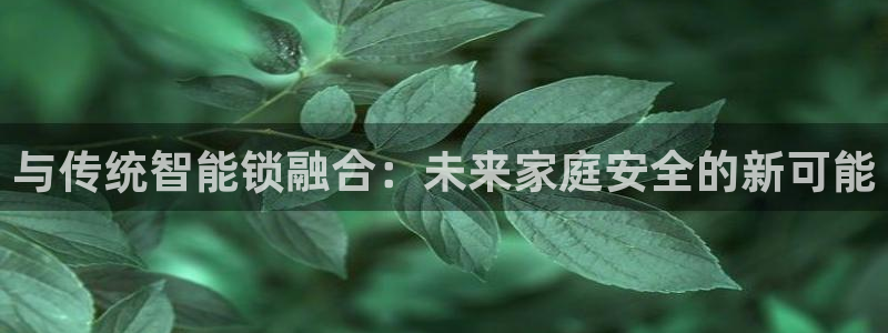 富联娱乐下载官网：与传统智能锁融合：未来家庭安全的新可能
