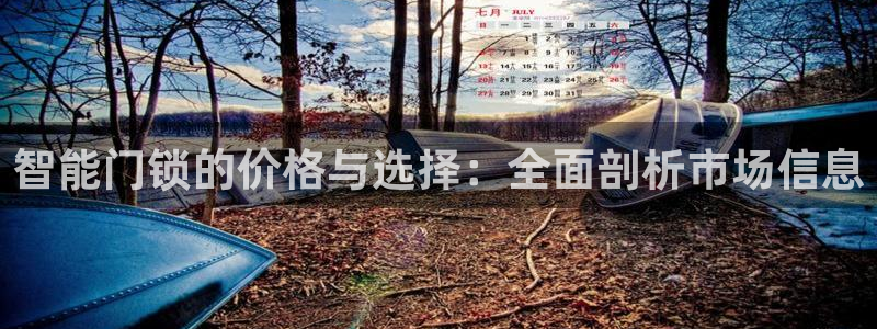 富联娱乐平台测速：智能门锁的价格与选择：全面剖析市场信息