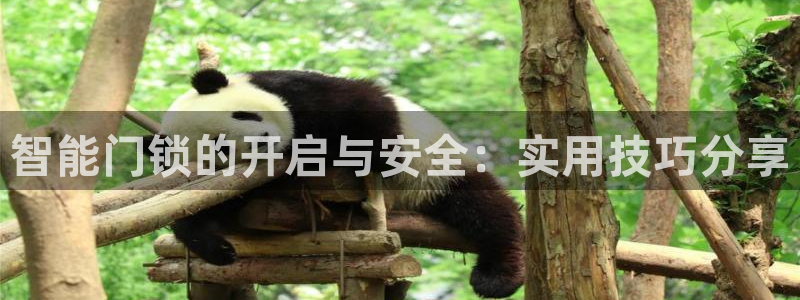 富联娱乐招商：智能门锁的开启与安全：实用技巧分享