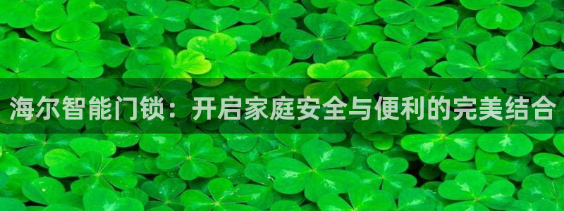 富联娱乐客户端官网登录：海尔智能门锁：开启家庭安全与便利的完