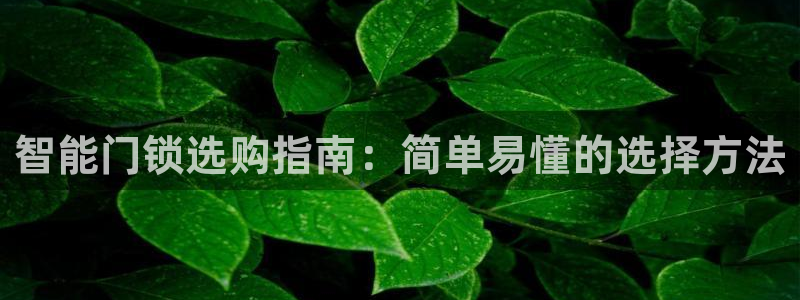 富联娱乐招商主管部门：智能门锁选购指南：简单易懂的选择方法