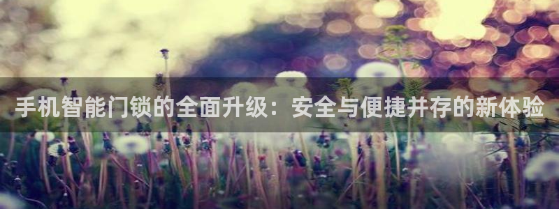 佰富联娱乐团购是真的吗：手机智能门锁的全面升级：安全与便捷并