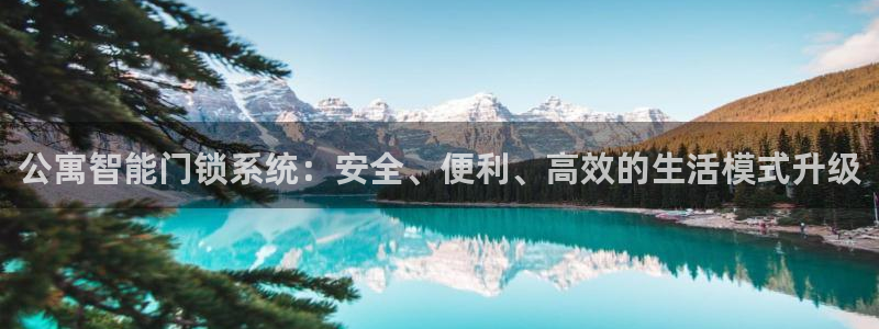 富联2娱乐元哥是谁：公寓智能门锁系统：安全、便利、高效的生活