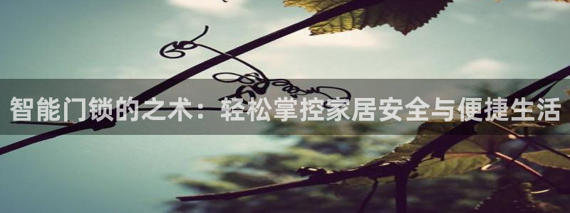 富联娱乐客户端登录不上：智能门锁的之术：轻松掌控家居安全与便