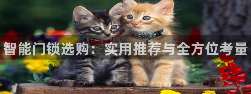 富联娱乐下载官网app：智能门锁选购：实用推荐与全方位考量