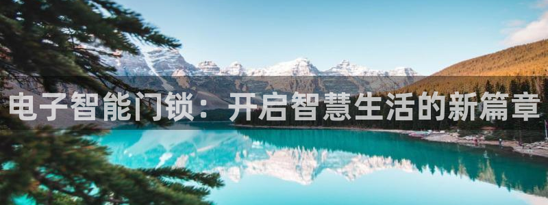 富联娱乐开户流程视频：电子智能门锁：开启智慧生活的新篇章