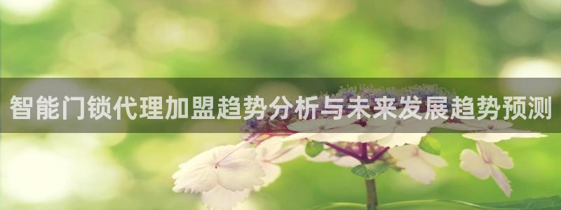 富联新村二区有啥娱乐：智能门锁代理加盟趋势分析与未来发展趋势