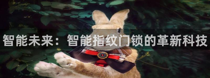 莱西联富娱乐：智能未来：智能指纹门锁的革新科技