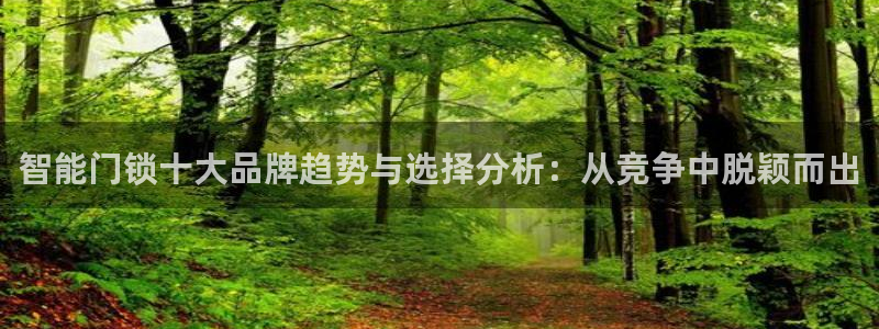 富联2娱乐资讯官网下载：智能门锁十大品牌趋势与选择分析：从竞