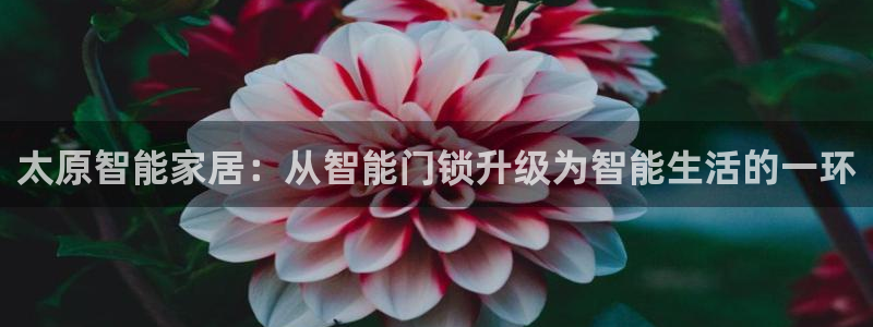 富联娱乐首页登录不上：太原智能家居：从智能门锁升级为智能生活