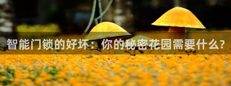富联娱乐太究7276O：智能门锁的好坏：你的秘密花园需要什么