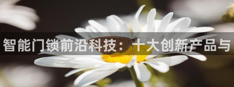 富联娱乐登陆：智能门锁前沿科技：十大创新产品与
