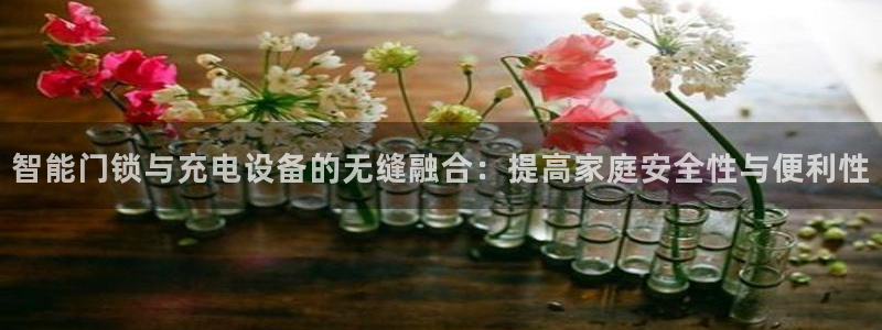 富联娱乐主管会判官333OO：智能门锁与充电设备的无缝融合：
