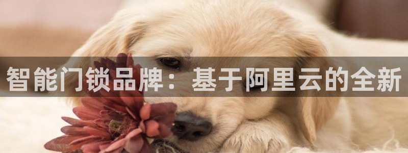 富联娱乐平台登录不上：智能门锁品牌：基于阿里云的全新