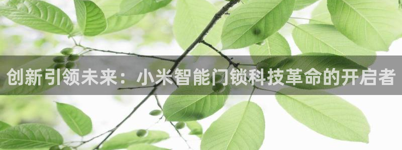 富联娱乐在线观看：创新引领未来：小米智能门锁科技革命的开启者