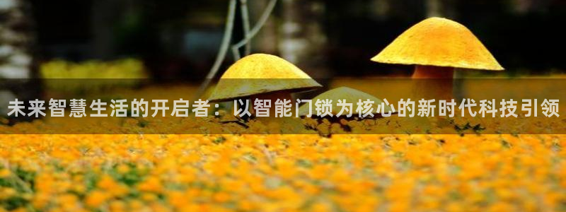 富联娱乐登录测速软件：未来智慧生活的开启者：以智能门锁为核心