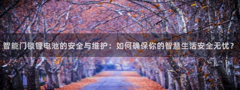 富联娱乐登录网址：智能门锁锂电池的安全与维护：如何确保你的智