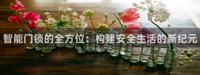 富联娱乐平台是什么：智能门锁的全方位：构建安全生活的新纪元