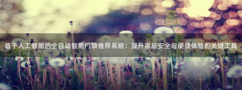 富联娱乐2853179Z空间：基于人工智能的全自动智能门锁推