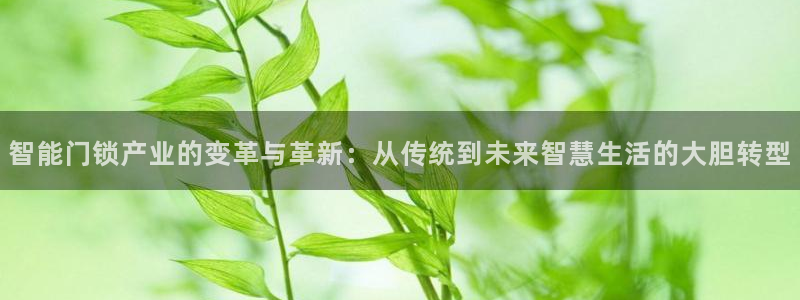 富联娱乐首页登录不了：智能门锁产业的变革与革新：从传统到未来