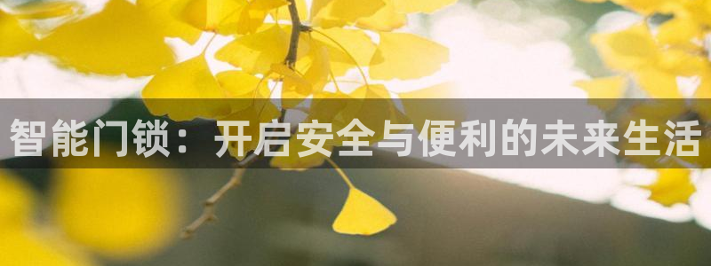 富联娱乐app官方下载最新版：智能门锁：开启安全与便利的未来