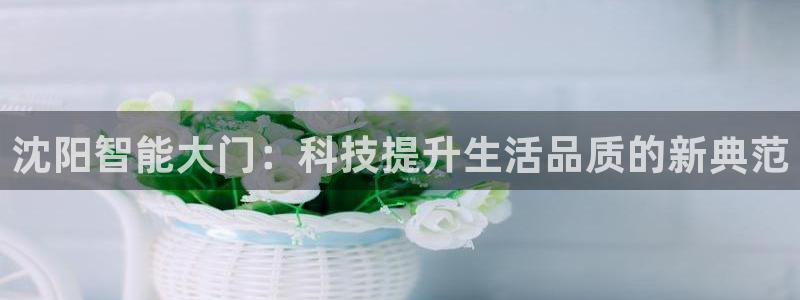 富联娱乐贴吧网站官网：沈阳智能大门：科技提升生活品质的新典范