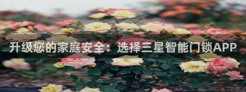 嘉峪关富联娱乐平台招聘：升级您的家庭安全：选择三星智能门锁A