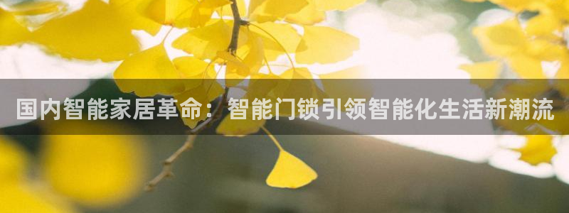 富联娱乐在线网站首页：国内智能家居革命：智能门锁引领智能化生
