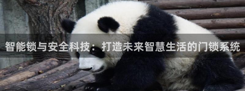 富联娱乐首页官网登录：智能锁与安全科技：打造未来智慧生活的门