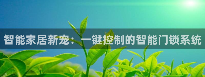 富联娱乐是什么公司：智能家居新宠：一键控制的智能门锁系统