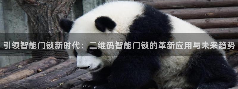 富联娱乐万67五壹叁八：引领智能门锁新时代：二维码智能门锁的