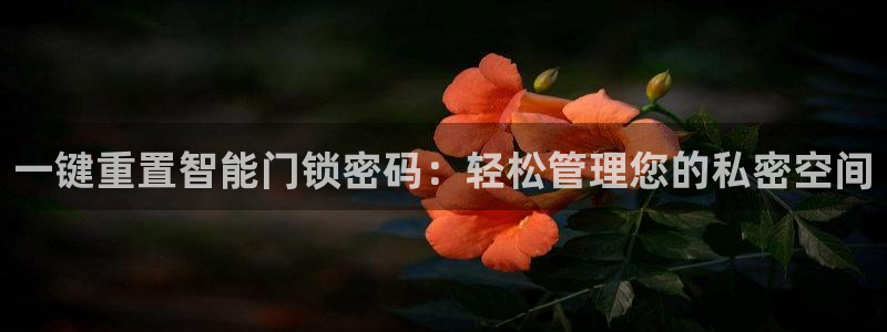 富联娱乐代理：一键重置智能门锁密码：轻松管理您的私密空间
