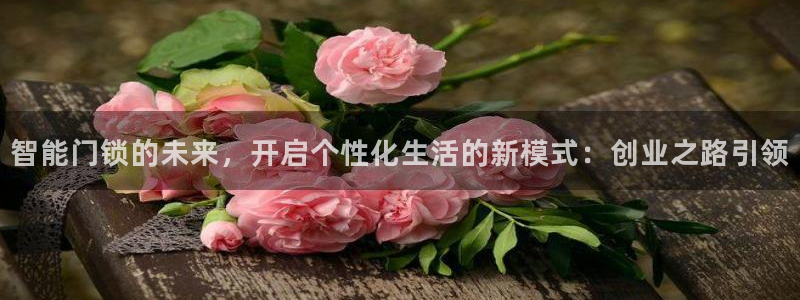 富联娱乐平台登录不上去：智能门锁的未来，开启个性化生活的新模