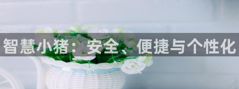 富联娱乐开户流程图：智慧小猪：安全、便捷与个性化