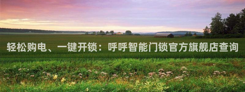 富联娱乐总代理：轻松购电、一键开锁：呼呼智能门锁官方旗舰店查