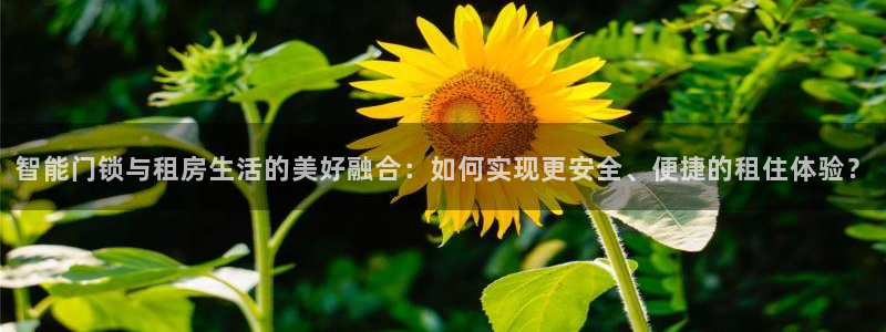 富联娱乐贴吧网站官网：智能门锁与租房生活的美好融合：如何实现
