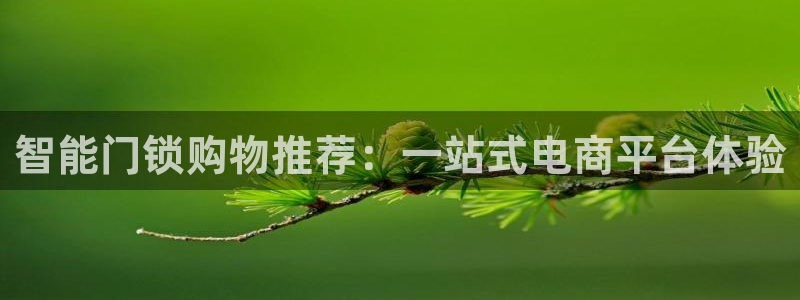 富联娱乐测速：智能门锁购物推荐：一站式电商平台体验