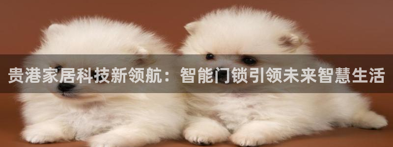 富联娱乐找37997筘：贵港家居科技新领航：智能门锁引领未来