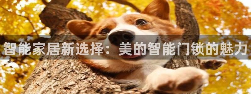 富联娱乐开户流程图解：智能家居新选择：美的智能门锁的魅力