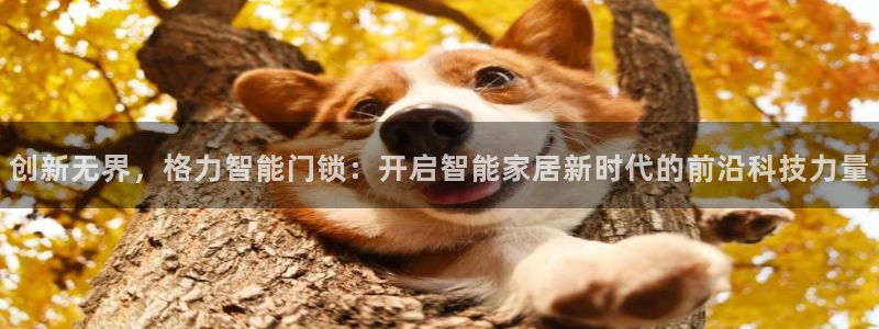 富联娱乐统究7276O：创新无界，格力智能门锁：开启智能家居
